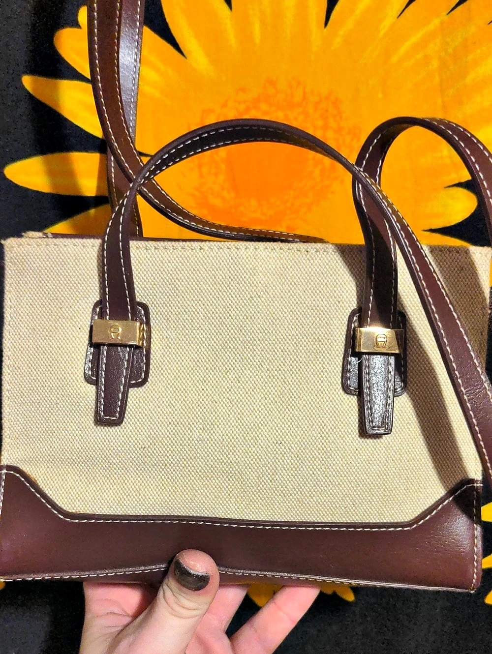 Etienne Aigner Brown & Beige Tote Bag
